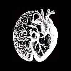 Fred & Farid — Développements web pour Diesel, Société Générale, Carambar